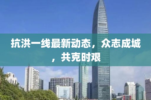 抗洪一线最新动态，众志成城，共克时艰