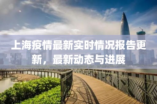 上海疫情最新实时情况报告更新，最新动态与进展
