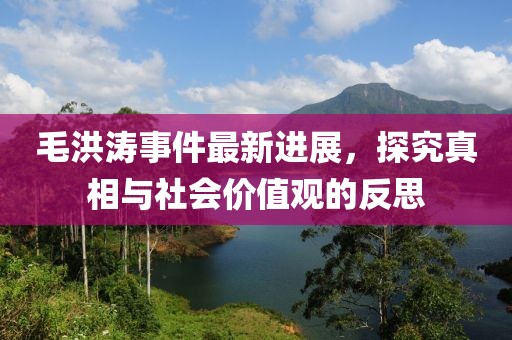 毛洪涛事件最新进展，探究真相与社会价值观的反思