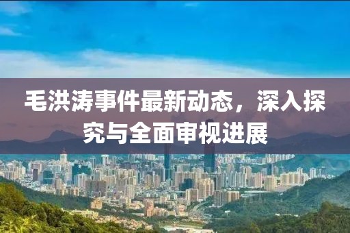 毛洪涛事件最新动态，深入探究与全面审视进展