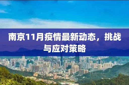 南京11月疫情最新动态，挑战与应对策略
