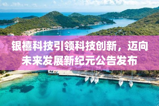 银禧科技引领科技创新，迈向未来发展新纪元公告发布
