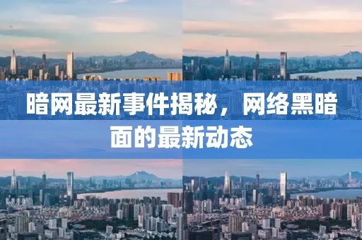 暗网最新事件揭秘，网络黑暗面的最新动态