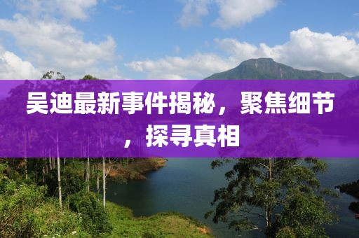 吴迪最新事件揭秘，聚焦细节，探寻真相