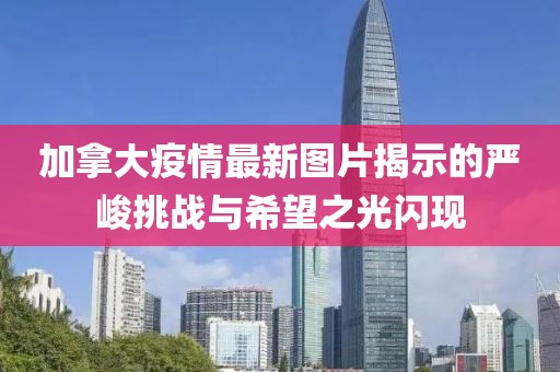 加拿大疫情最新图片揭示的严峻挑战与希望之光闪现
