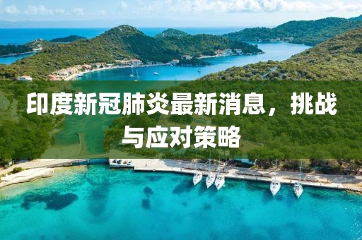 印度新冠肺炎最新消息，挑战与应对策略