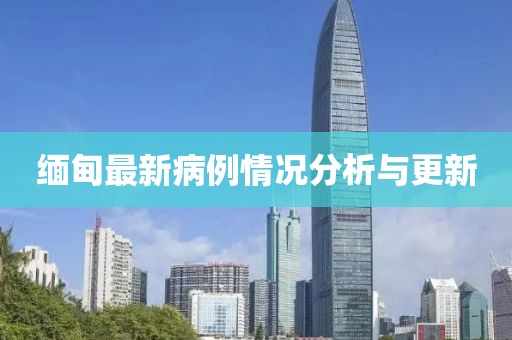 缅甸最新病例情况分析与更新