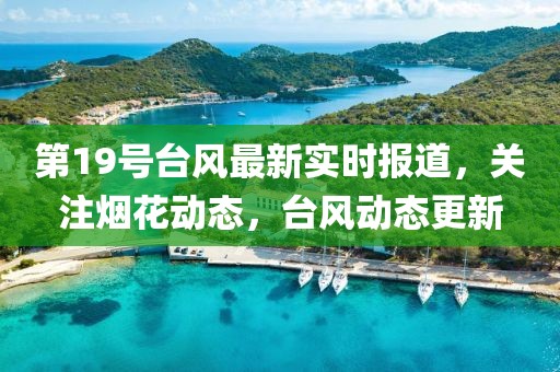 第19号台风最新实时报道，关注烟花动态，台风动态更新