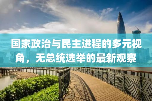 国家政治与民主进程的多元视角，无总统选举的最新观察