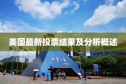 美国最新投票结果及分析概述
