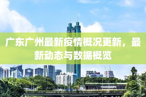 广东广州最新疫情概况更新，最新动态与数据概览