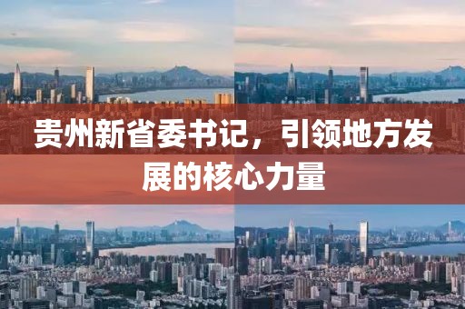 贵州新省委书记，引领地方发展的核心力量
