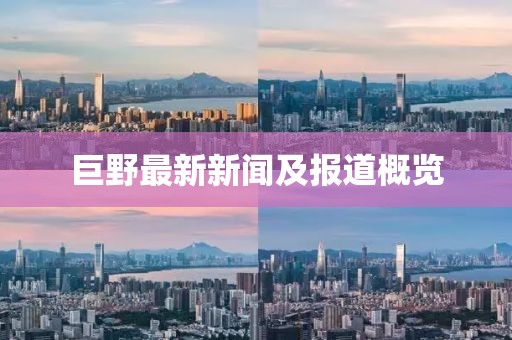 巨野最新新闻及报道概览