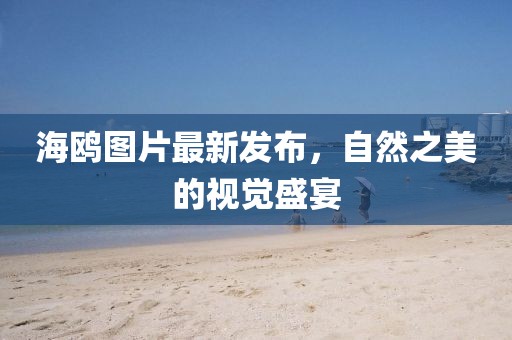 海鸥图片最新发布，自然之美的视觉盛宴