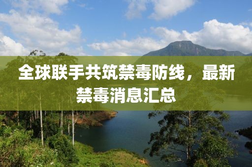 全球联手共筑禁毒防线，最新禁毒消息汇总