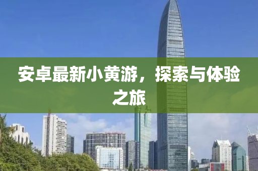 安卓最新小黄游，探索与体验之旅