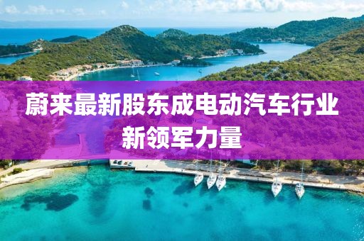 蔚来最新股东成电动汽车行业新领军力量