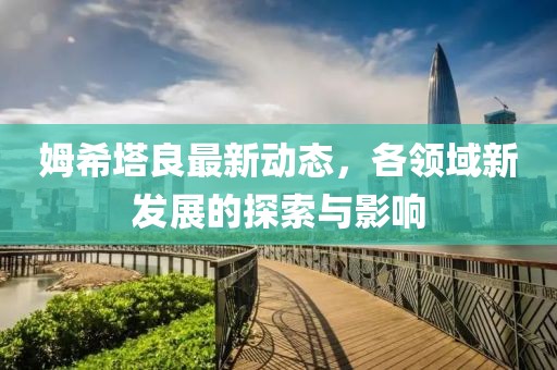 姆希塔良最新动态，各领域新发展的探索与影响