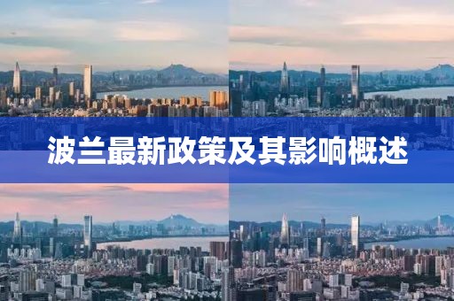 波兰最新政策及其影响概述