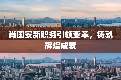 肖国安新职务引领变革，铸就辉煌成就