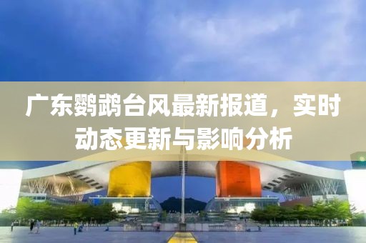广东鹦鹉台风最新报道，实时动态更新与影响分析