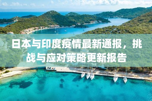 日本与印度疫情最新通报，挑战与应对策略更新报告