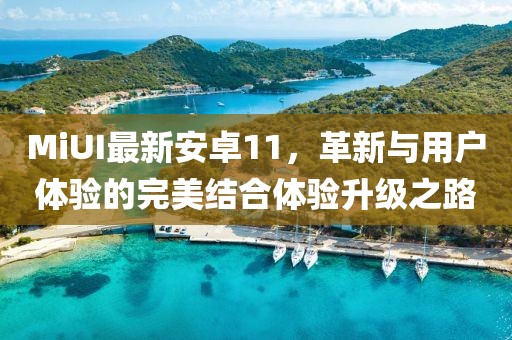 MiUI最新安卓11，革新与用户体验的完美结合体验升级之路