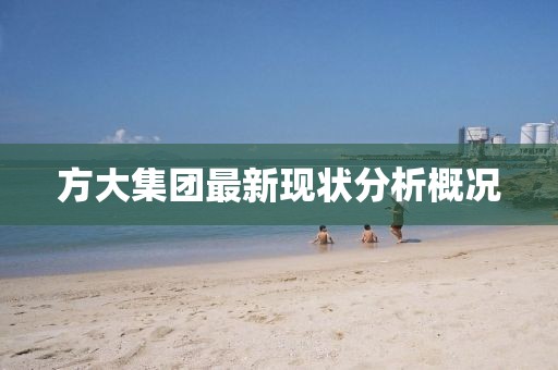 方大集团最新现状分析概况