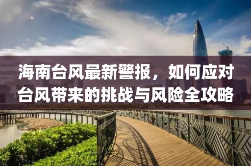 海南台风最新警报，如何应对台风带来的挑战与风险全攻略