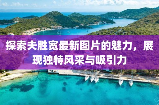 探索夫胜宽最新图片的魅力，展现独特风采与吸引力