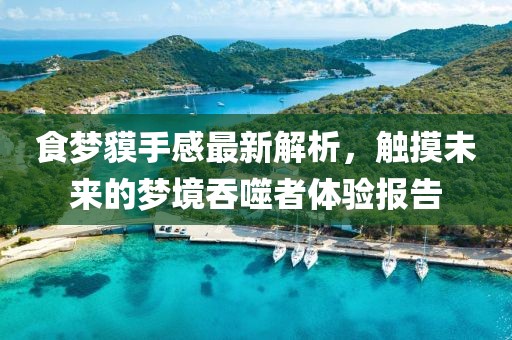 那拉锐智 第4页