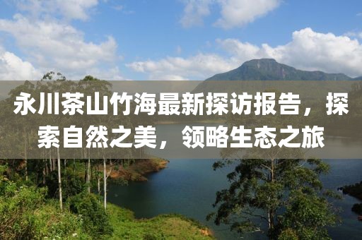 永川茶山竹海最新探访报告，探索自然之美，领略生态之旅