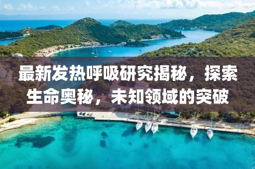 最新发热呼吸研究揭秘，探索生命奥秘，未知领域的突破