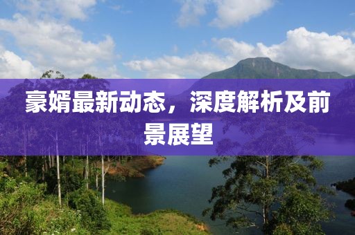 豪婿最新动态，深度解析及前景展望