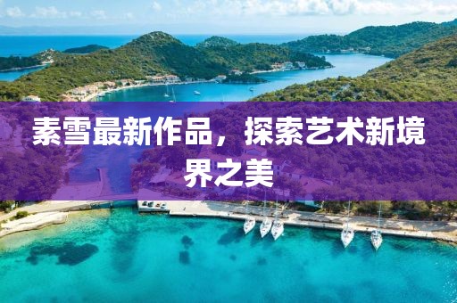 素雪最新作品，探索艺术新境界之美