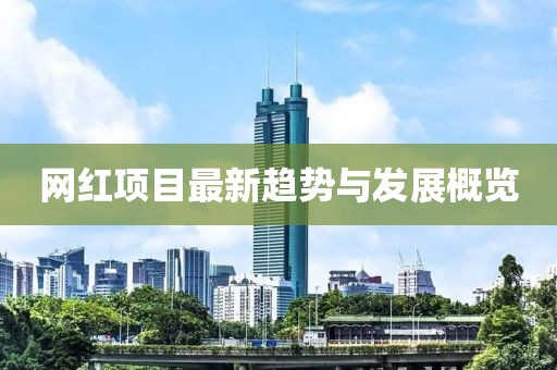 网红项目最新趋势与发展概览