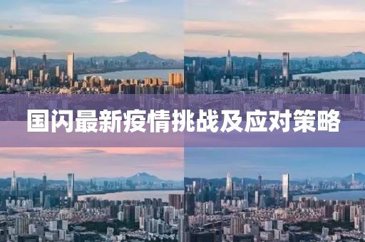 国闪最新疫情挑战及应对策略