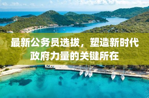 最新公务员选拔，塑造新时代政府力量的关键所在