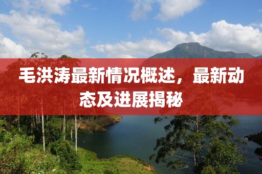 毛洪涛最新情况概述，最新动态及进展揭秘