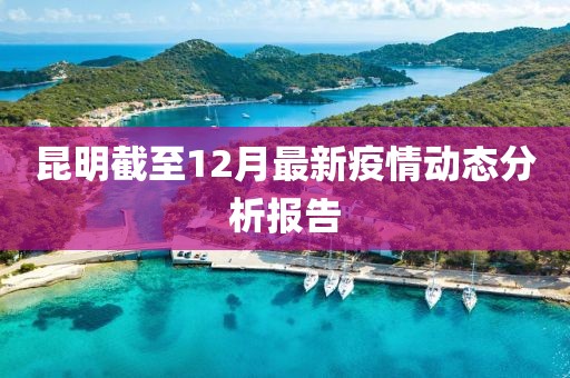 昆明截至12月最新疫情动态分析报告