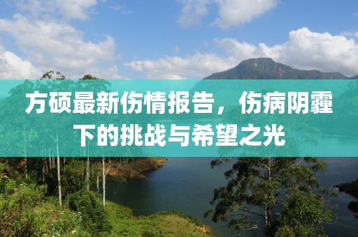 方硕最新伤情报告，伤病阴霾下的挑战与希望之光