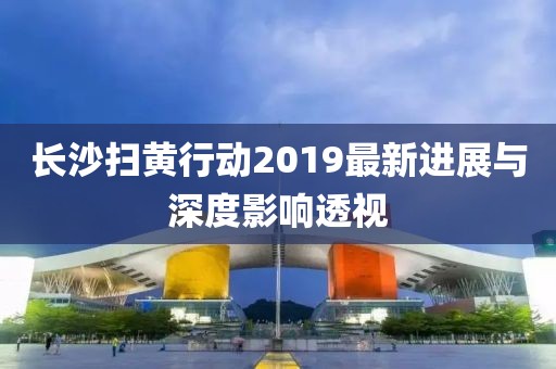 长沙扫黄行动2019最新进展与深度影响透视