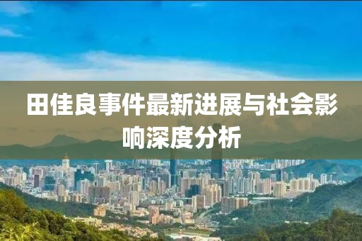 田佳良事件最新进展与社会影响深度分析