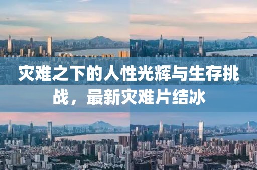 灾难之下的人性光辉与生存挑战，最新灾难片结冰