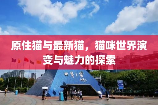 原住猫与最新猫，猫咪世界演变与魅力的探索