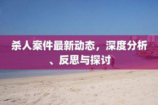 杀人案件最新动态，深度分析、反思与探讨