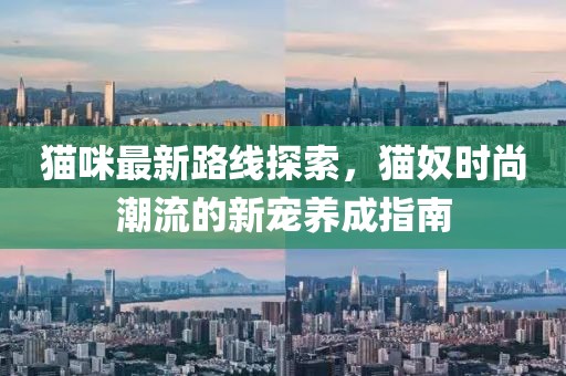 猫咪最新路线探索，猫奴时尚潮流的新宠养成指南