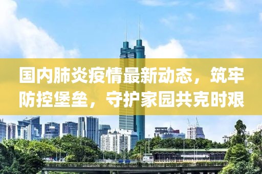 国内肺炎疫情最新动态，筑牢防控堡垒，守护家园共克时艰