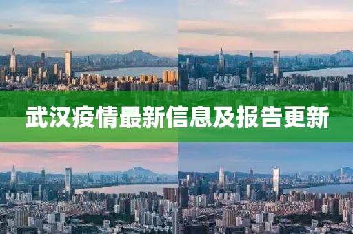 武汉疫情最新信息及报告更新