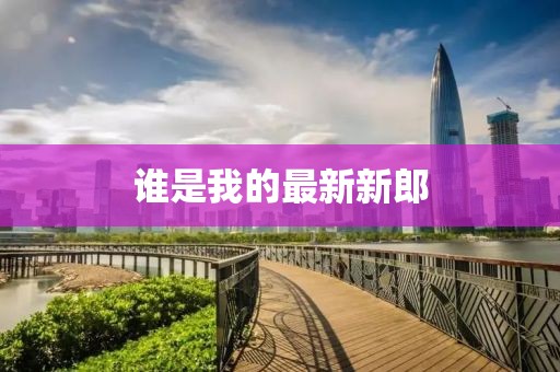 谁是我的最新新郎